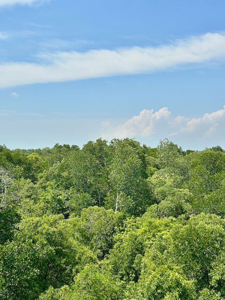 Johor National Parks Sustainability